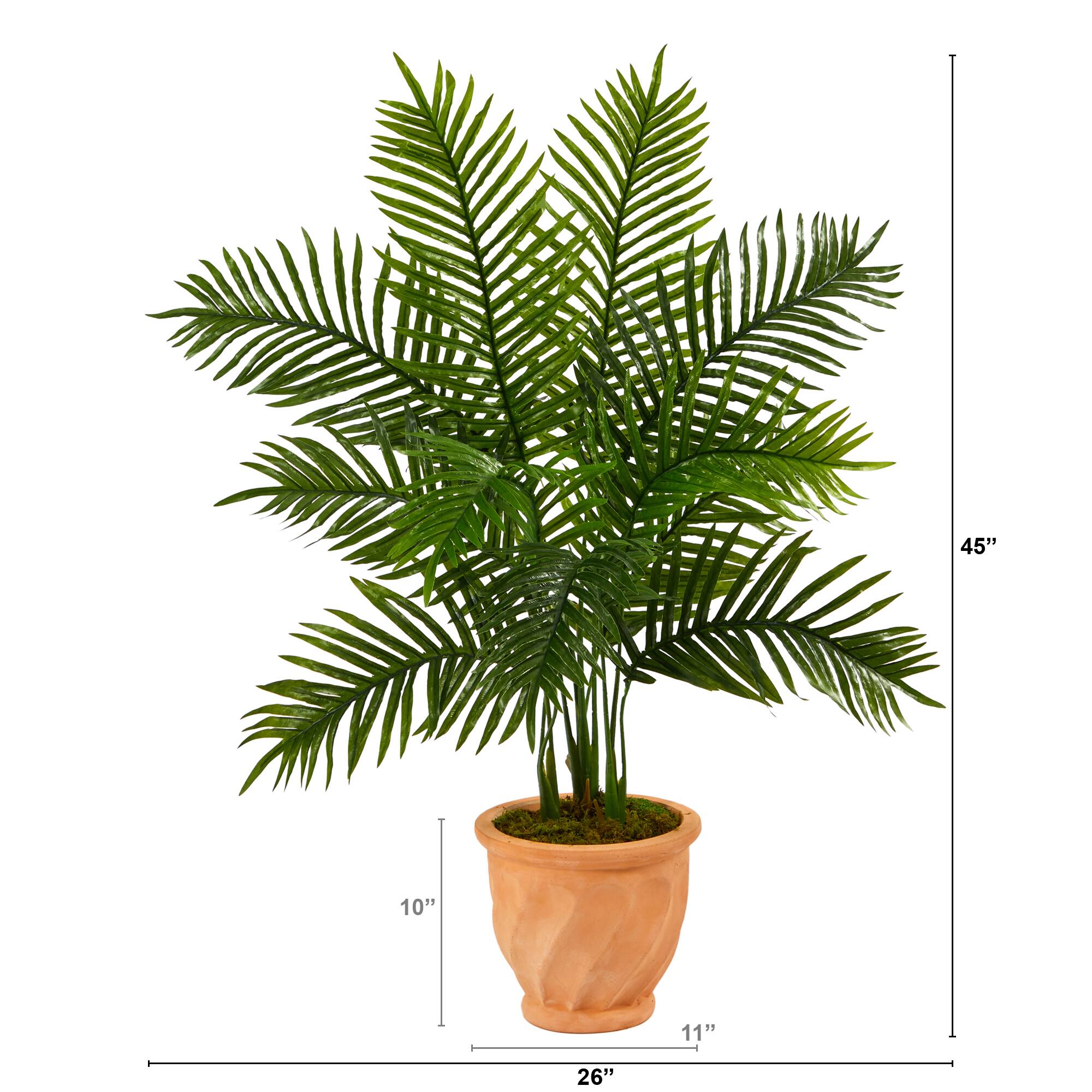 45" Areca Palm Tree in Terra Cotta Planter